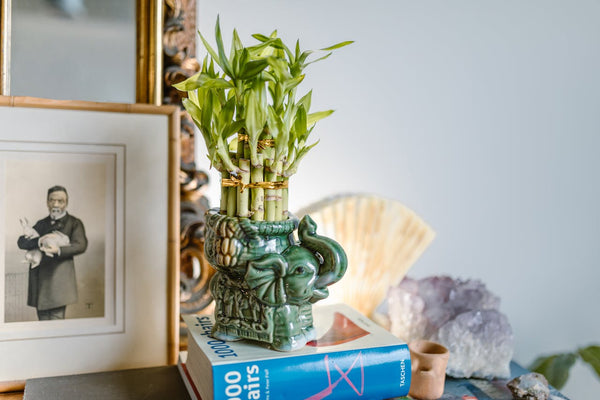 Simple Feng Shui Tips for a Clean and Balanced Home