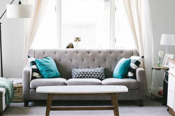A Guide to Using Feng Shui to Select and Position Furniture