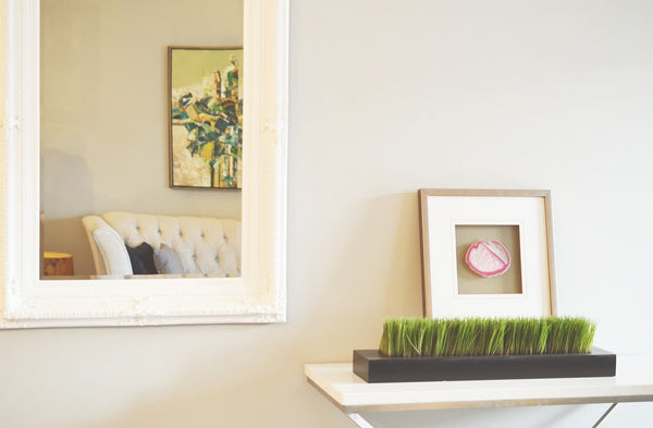 Feng Shui Mirrors: Tips and Common Mistakes