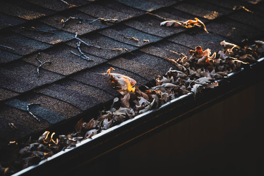 Elevate Your Home's Aesthetic: The Ultimate Guide to Home Gutter Improvement