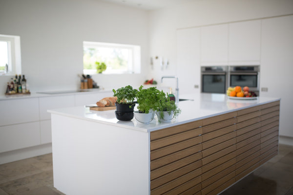 Maximizing Your Kitchen Renovation