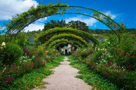 How to Bring Feng Shui into Your Garden: 8 Tips for Harmonious Outdoor Spaces