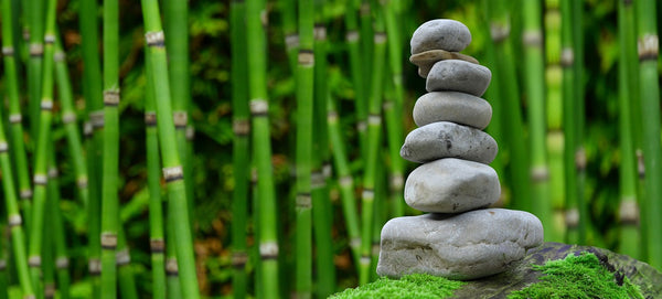 How to Incorporate Feng Shui in Your Garden: Top Tips for Harmonious Outdoor Spaces