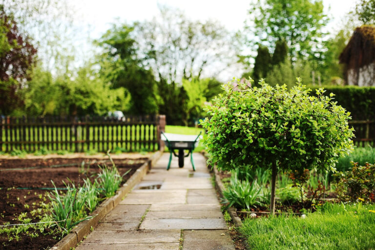 Feng Shui Your Yard: Tips for a Positive and Peaceful Landscape
