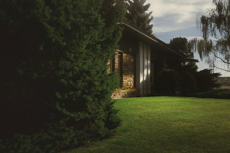 Why Feng Shui is Essential for Home Landscaping